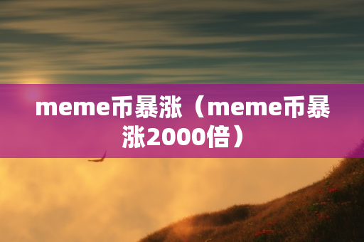 meme币暴涨（meme币暴涨2000倍）