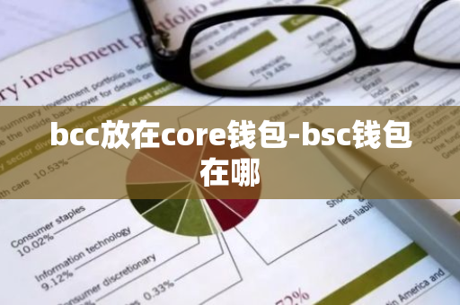 bcc放在core钱包-bsc钱包在哪