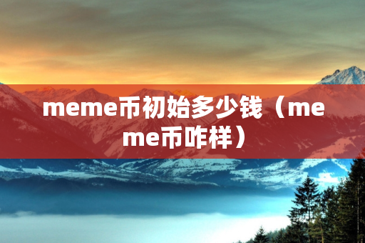 meme币初始多少钱（meme币咋样）