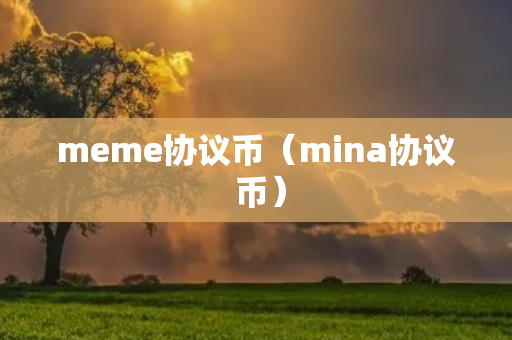 meme协议币（mina协议 币）