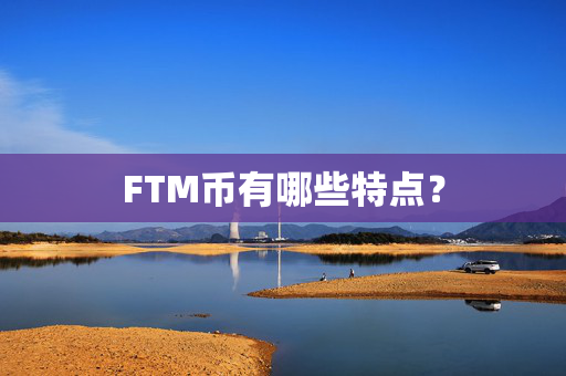 FTM币有哪些特点？