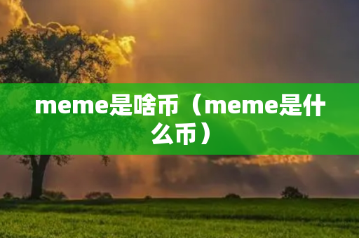 meme是啥币（meme是什么币）