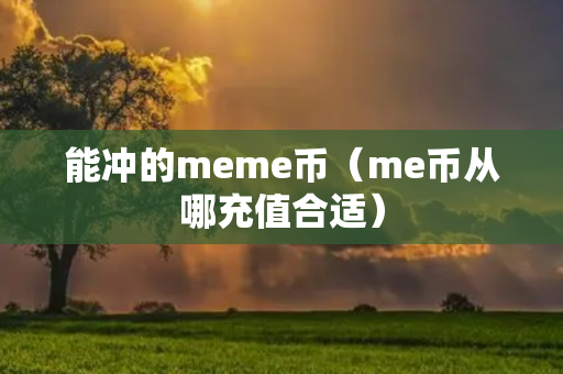 能冲的meme币（me币从哪充值合适）