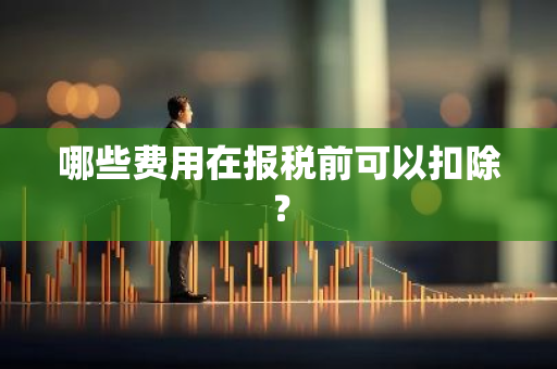 哪些费用在报税前可以扣除？