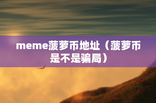 meme菠萝币地址（菠萝币是不是骗局）