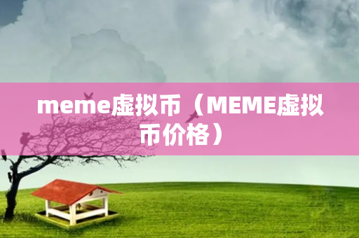 meme虚拟币（MEME虚拟币价格）