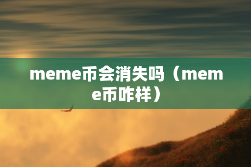 meme币会消失吗（meme币咋样）