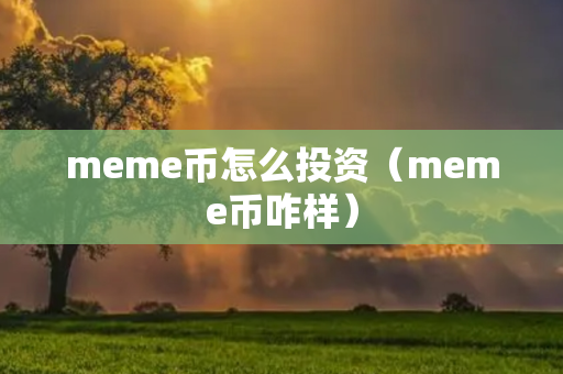 meme币怎么投资（meme币咋样）