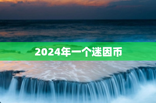 2024年一个迷因币