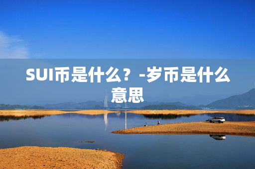 SUI币是什么？-岁币是什么意思