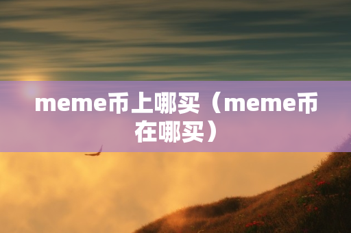 meme币上哪买（meme币在哪买）