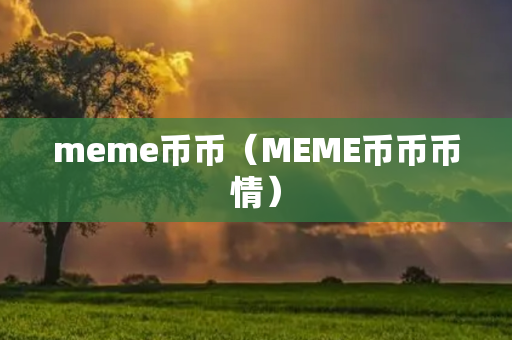 meme币币（MEME币币币情）