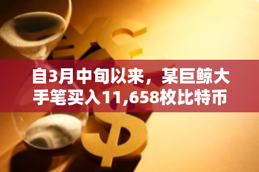 自3月中旬以来，某巨鲸大手笔买入11,658枚比特币，市场瞩目