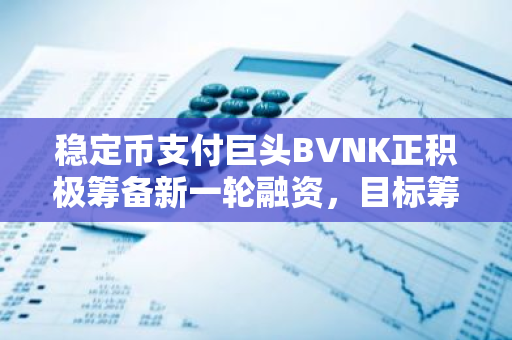 稳定币支付巨头BVNK正积极筹备新一轮融资，目标筹集5000万美元以推动其业务发展