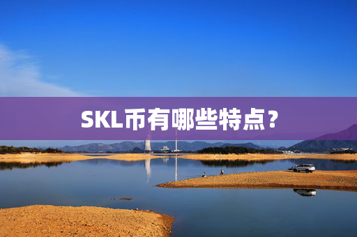 SKL币有哪些特点？