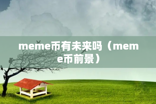 meme币有未来吗（meme币前景）