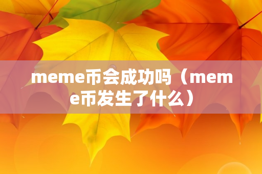 meme币会成功吗（meme币发生了什么）