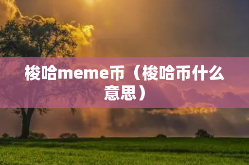 梭哈meme币（梭哈币什么意思）