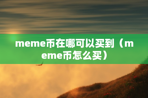 meme币在哪可以买到（meme币怎么买）