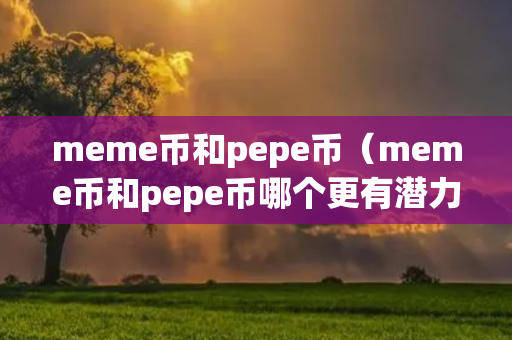 meme币和pepe币（meme币和pepe币哪个更有潜力）