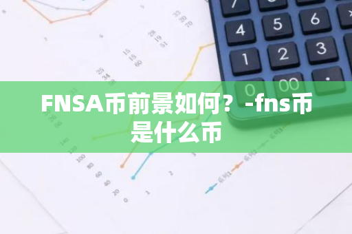 FNSA币前景如何？-fns币是什么币