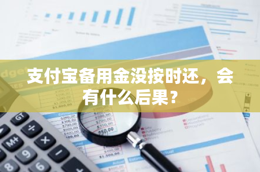 支付宝备用金没按时还，会有什么后果？