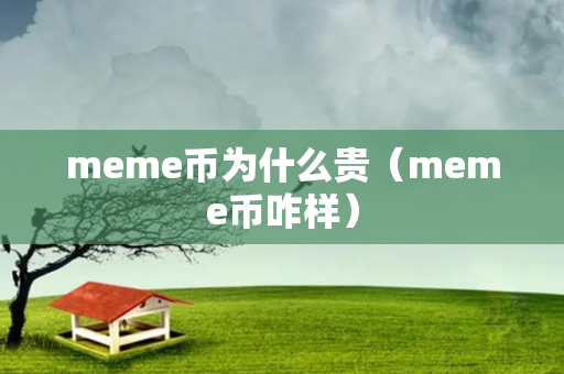 meme币为什么贵（meme币咋样）