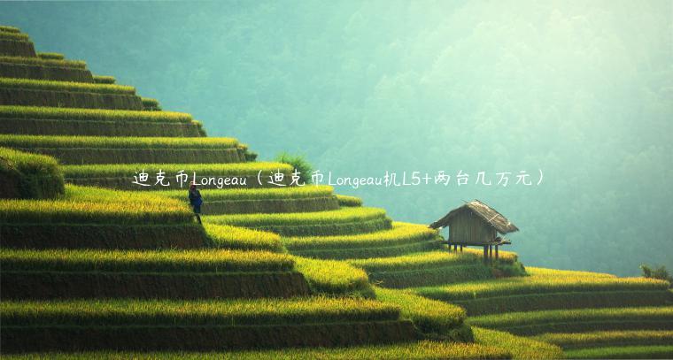 迪克币Longau（迪克币Longau机L5 两台几万元）