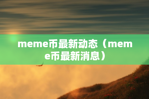 meme币最新动态（meme币最新消息）