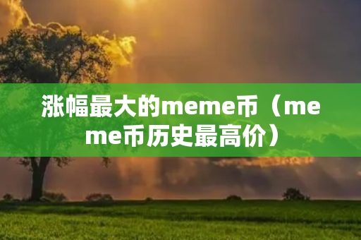 涨幅最大的meme币（meme币历史最高价）