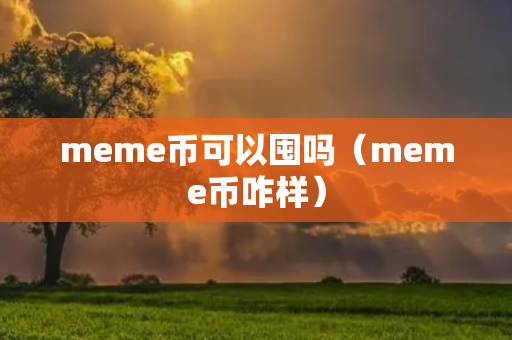 meme币可以囤吗（meme币咋样）