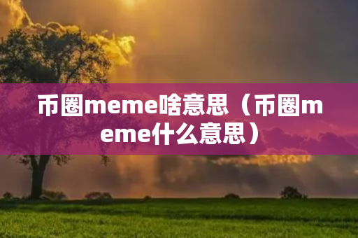 币圈meme啥意思（币圈meme什么意思）