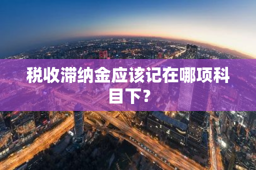 税收滞纳金应该记在哪项科目下？