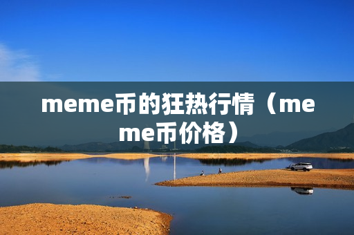 meme币的狂热行情（meme币价格）