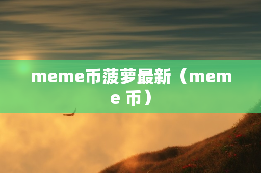 meme币菠萝最新（meme 币）