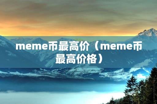 meme币最高价（meme币最高价格）