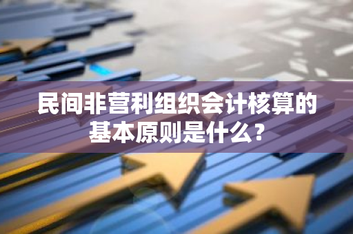 民间非营利组织会计核算的基本原则是什么？