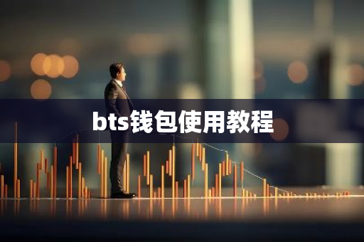 bts钱包使用教程