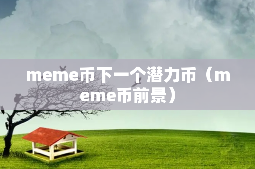 meme币下一个潜力币（meme币前景）