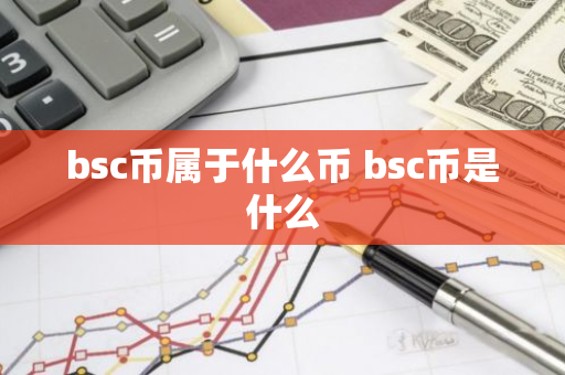 bsc币属于什么币 bsc币是什么