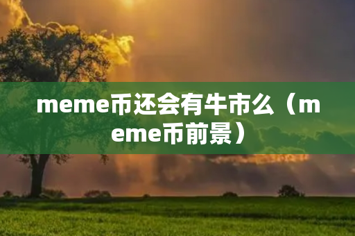 meme币还会有牛市么（meme币前景）