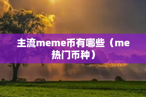 主流meme币有哪些（me热门币种）