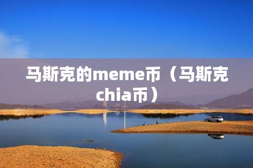 马斯克的meme币（马斯克chia币）