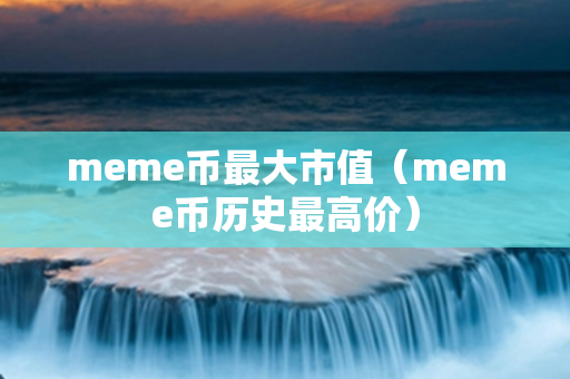 meme币最大市值（meme币历史最高价）