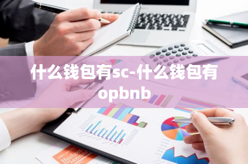 什么钱包有sc-什么钱包有opbnb