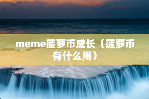 meme菠萝币成长（菠萝币有什么用）