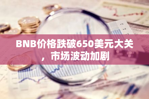 BNB价格跌破650美元大关，市场波动加剧