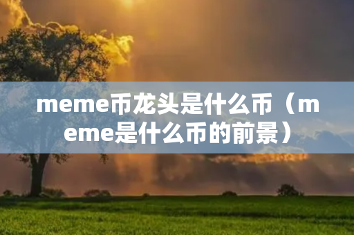 meme币龙头是什么币（meme是什么币的前景）