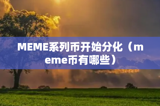 MEME系列币开始分化（meme币有哪些）