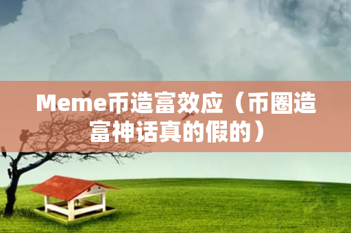 Meme币造富效应（币圈造富神话真的假的）